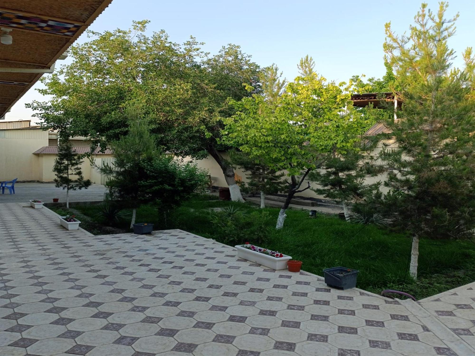 Dilnura Guest House Buxoro Ngoại thất bức ảnh